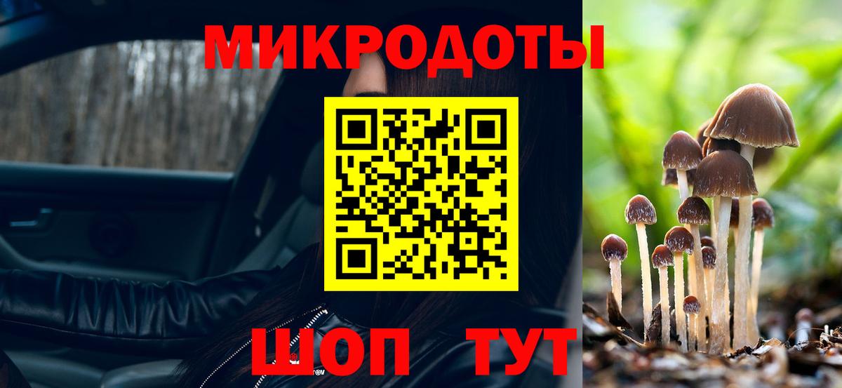 Галлюциногенные грибы Psilocybe Уварово